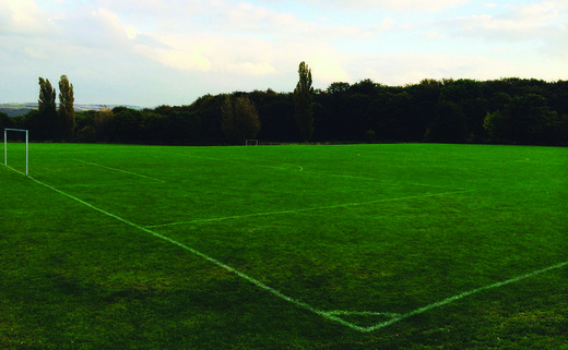 Regular_grass_pitch