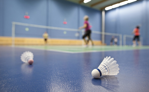 Regular_badminton