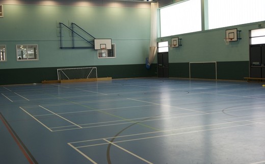 Regular_sports_hall_1040x696