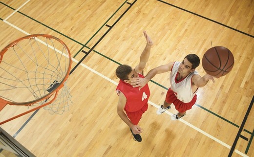Regular_basketball_category