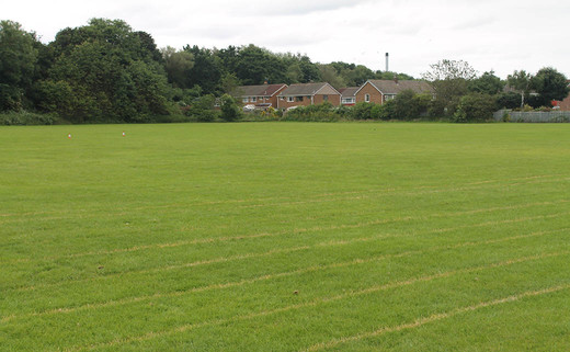 Regular_pvnl_grass-pitches_1040x642