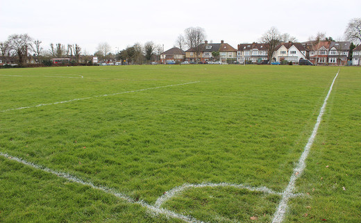 Regular_wren_grass_pitch_1040x642