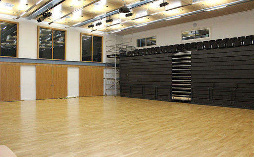 Regular_wren_school_hall_1040x642