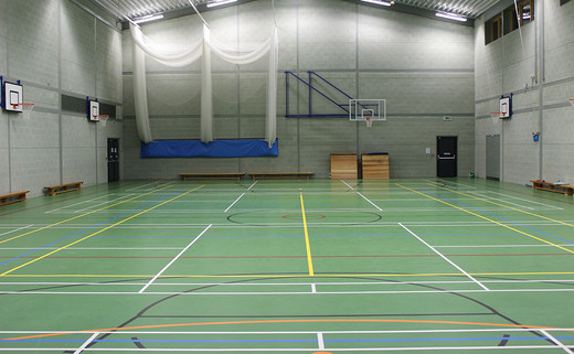 Regular_wren_sports_hall_1040x642