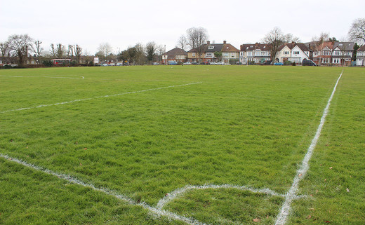 Regular_wren_grass_pitch_1040x642