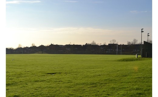 Regular_rugby1