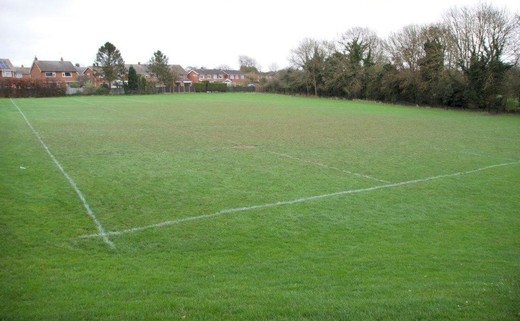 Regular_grass_area